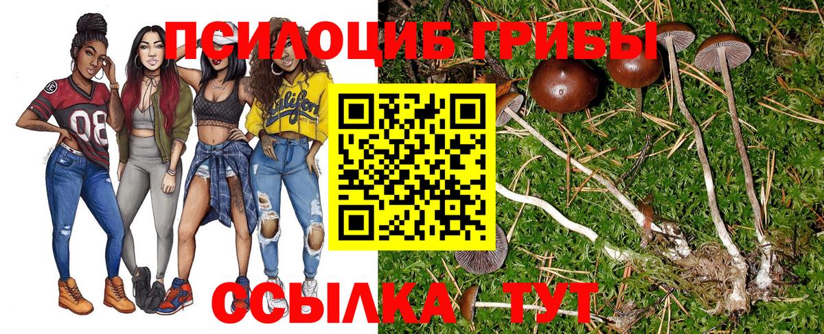 Галлюциногенные грибы мухоморы  Вход с VPN  Спасск-Дальний  Псилоцибиновые грибы мицелий 