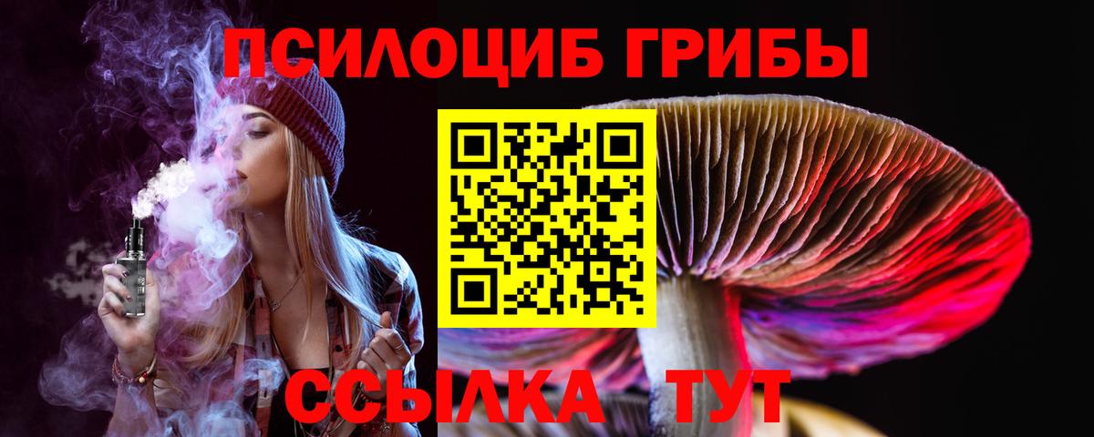 Псилоцибиновые грибы Psilocybine cubensis Спасск-Дальний